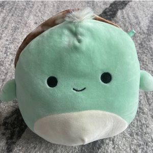 Antoni Turtle Squishmallow